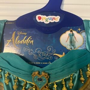 Disney Aladdin Jasmine Teal Costume